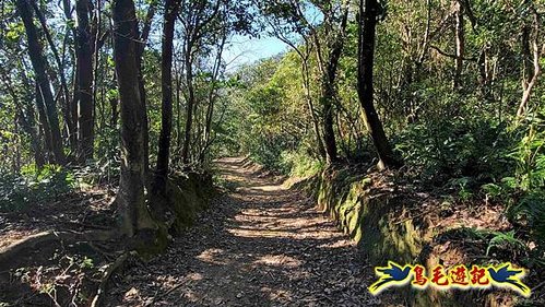 貢寮車站-大嶺古道-大石壁坑山-龍字碑-五酒桶山去回 (55).jpg