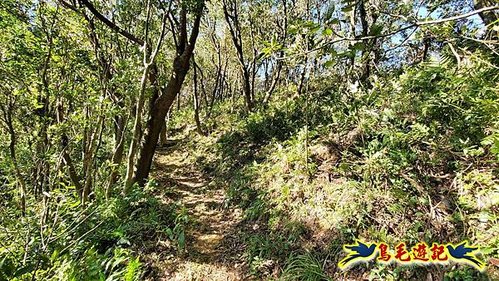 貢寮車站-大嶺古道-大石壁坑山-龍字碑-五酒桶山去回 (62).jpg