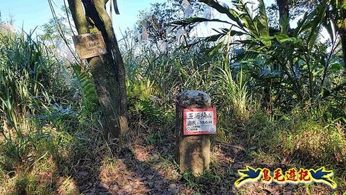 貢寮車站-大嶺古道-大石壁坑山-龍字碑-五酒桶山去回 (65).jpg