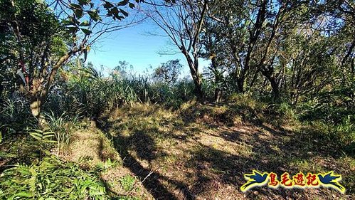 貢寮車站-大嶺古道-大石壁坑山-龍字碑-五酒桶山去回 (69).jpg
