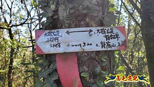 貢寮車站-大嶺古道-大石壁坑山-龍字碑-五酒桶山去回 (70).jpg