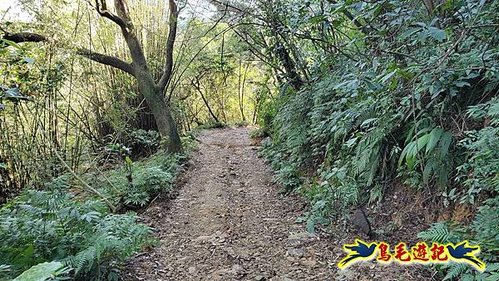 貢寮車站-大嶺古道-大石壁坑山-龍字碑-五酒桶山去回 (75).jpg