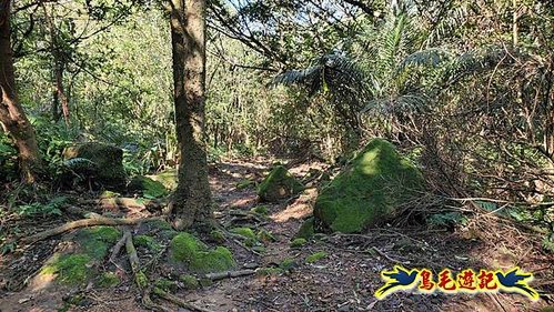 貢寮車站-大嶺古道-大石壁坑山-龍字碑-五酒桶山去回 (77).jpg