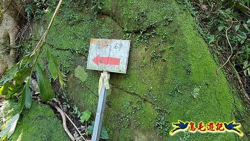 貢寮車站-大嶺古道-大石壁坑山-龍字碑-五酒桶山去回 (76).jpg