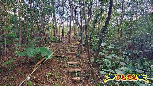 四腳亭車站-碇內承福宮-碇內尖-龍門山-粗坑頭崙-粗坑口步道．煤窯遺址O形 (4).jpg