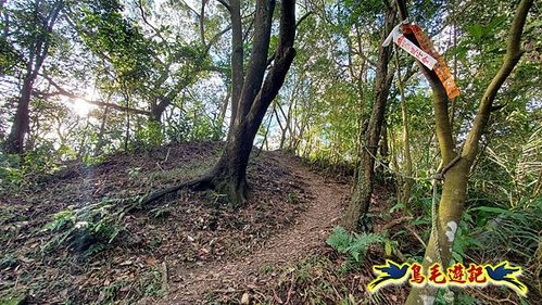 四腳亭車站-碇內承福宮-碇內尖-龍門山-粗坑頭崙-粗坑口步道．煤窯遺址O形 (12).jpg