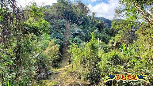 四腳亭車站-碇內承福宮-碇內尖-龍門山-粗坑頭崙-粗坑口步道．煤窯遺址O形 (14).jpg