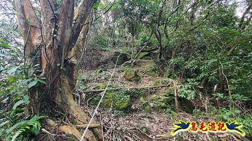 四腳亭車站-碇內承福宮-碇內尖-龍門山-粗坑頭崙-粗坑口步道．煤窯遺址O形 (23).jpg