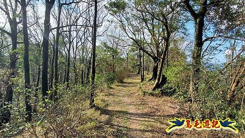 四腳亭車站-碇內承福宮-碇內尖-龍門山-粗坑頭崙-粗坑口步道．煤窯遺址O形 (30).jpg