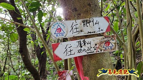 四腳亭車站-碇內承福宮-碇內尖-龍門山-粗坑頭崙-粗坑口步道．煤窯遺址O形 (36).jpg