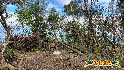 四腳亭車站-碇內承福宮-碇內尖-龍門山-粗坑頭崙-粗坑口步道．煤窯遺址O形 (42).jpg