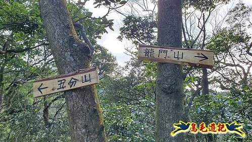 四腳亭車站-碇內承福宮-碇內尖-龍門山-粗坑頭崙-粗坑口步道．煤窯遺址O形 (48).jpg