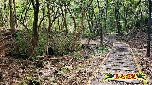 四腳亭車站-碇內承福宮-碇內尖-龍門山-粗坑頭崙-粗坑口步道．煤窯遺址O形 (74).jpg