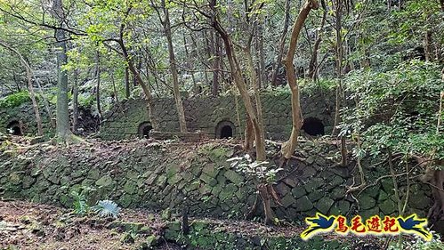 四腳亭車站-碇內承福宮-碇內尖-龍門山-粗坑頭崙-粗坑口步道．煤窯遺址O形 (75).jpg