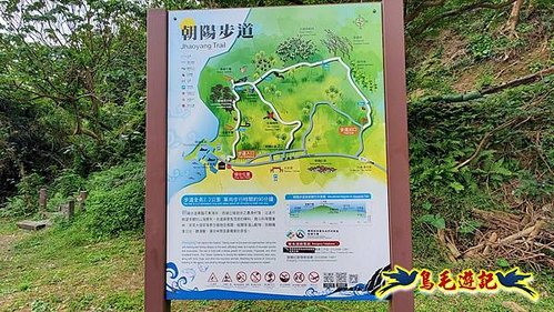 南澳朝陽步道-龜山之頂P形 (7).jpg