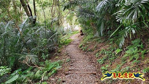 南澳朝陽步道-龜山之頂P形 (49).jpg