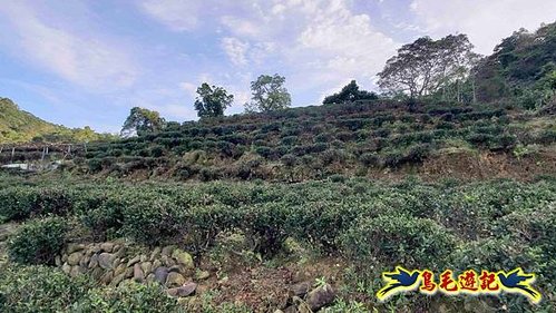 三峽建安四傑、三層坪山、鳥嘴四秀O形(不含竹崙山、鳥尾崙) (2).jpg