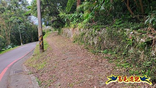 二格山-南邦寮山-貓空尖-樟樹步道魯冰花%26;櫻花爭豔 (4).jpg