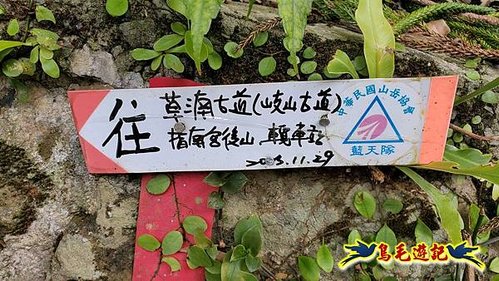 二格山-南邦寮山-貓空尖-樟樹步道魯冰花%26;櫻花爭豔 (3).jpg