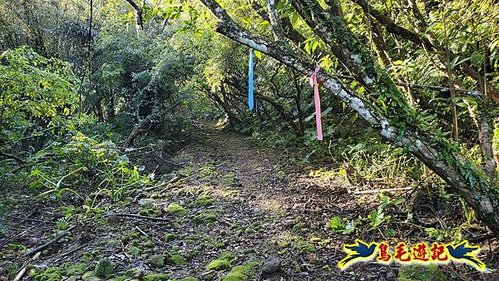 平溪子山嚴家古厝白鶯石古道P形 (3).jpg