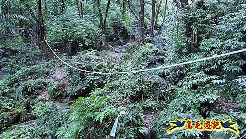 平溪子山嚴家古厝白鶯石古道P形 (6).jpg