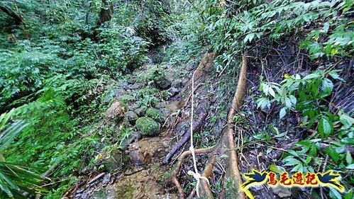 平溪子山嚴家古厝白鶯石古道P形 (8).jpg