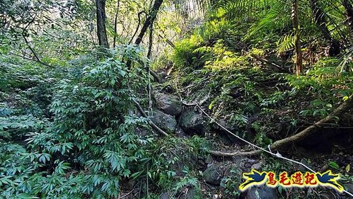 平溪子山嚴家古厝白鶯石古道P形 (9).jpg