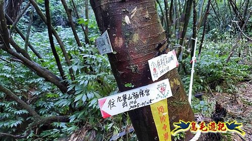 平溪子山嚴家古厝白鶯石古道P形 (12).jpg