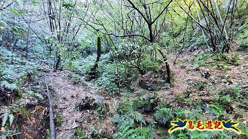 平溪子山嚴家古厝白鶯石古道P形 (11).jpg