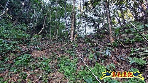 平溪子山嚴家古厝白鶯石古道P形 (15).jpg
