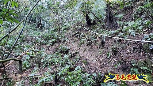 平溪子山嚴家古厝白鶯石古道P形 (14).jpg