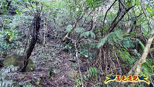 平溪子山嚴家古厝白鶯石古道P形 (17).jpg