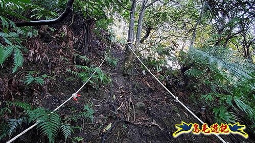 平溪子山嚴家古厝白鶯石古道P形 (18).jpg