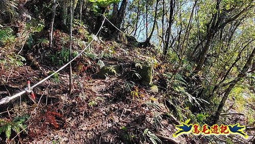 平溪子山嚴家古厝白鶯石古道P形 (20).jpg