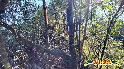 平溪子山嚴家古厝白鶯石古道P形 (21).jpg