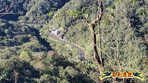 平溪子山嚴家古厝白鶯石古道P形 (19).jpg