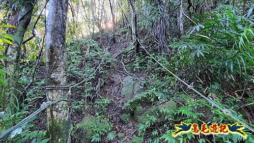 平溪子山嚴家古厝白鶯石古道P形 (24).jpg