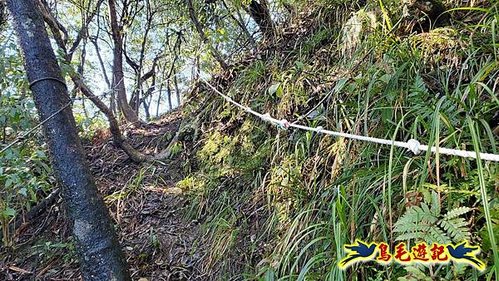 平溪子山嚴家古厝白鶯石古道P形 (25).jpg