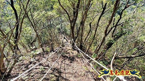 平溪子山嚴家古厝白鶯石古道P形 (27).jpg