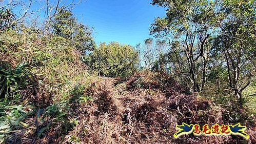 平溪子山嚴家古厝白鶯石古道P形 (26).jpg