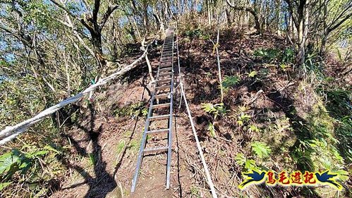 平溪子山嚴家古厝白鶯石古道P形 (29).jpg