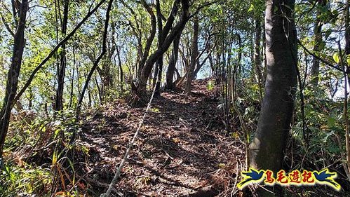 平溪子山嚴家古厝白鶯石古道P形 (32).jpg