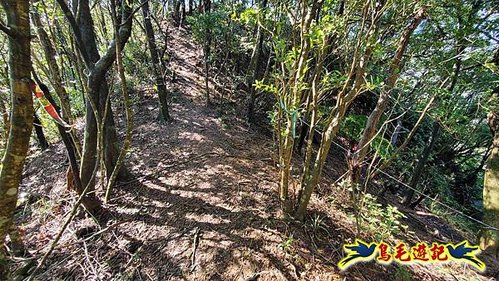 平溪子山嚴家古厝白鶯石古道P形 (30).jpg