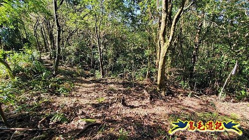 平溪子山嚴家古厝白鶯石古道P形 (37).jpg