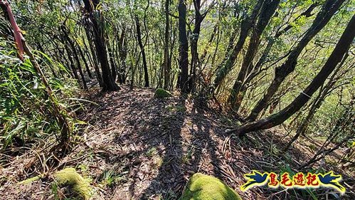 平溪子山嚴家古厝白鶯石古道P形 (34).jpg