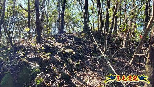 平溪子山嚴家古厝白鶯石古道P形 (38).jpg