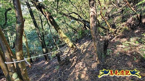 平溪子山嚴家古厝白鶯石古道P形 (42).jpg
