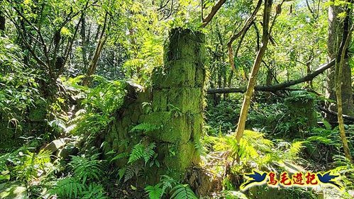 平溪子山嚴家古厝白鶯石古道P形 (44).jpg
