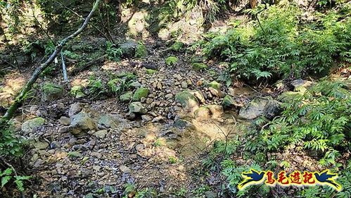 平溪子山嚴家古厝白鶯石古道P形 (47).jpg