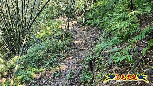 平溪子山嚴家古厝白鶯石古道P形 (46).jpg